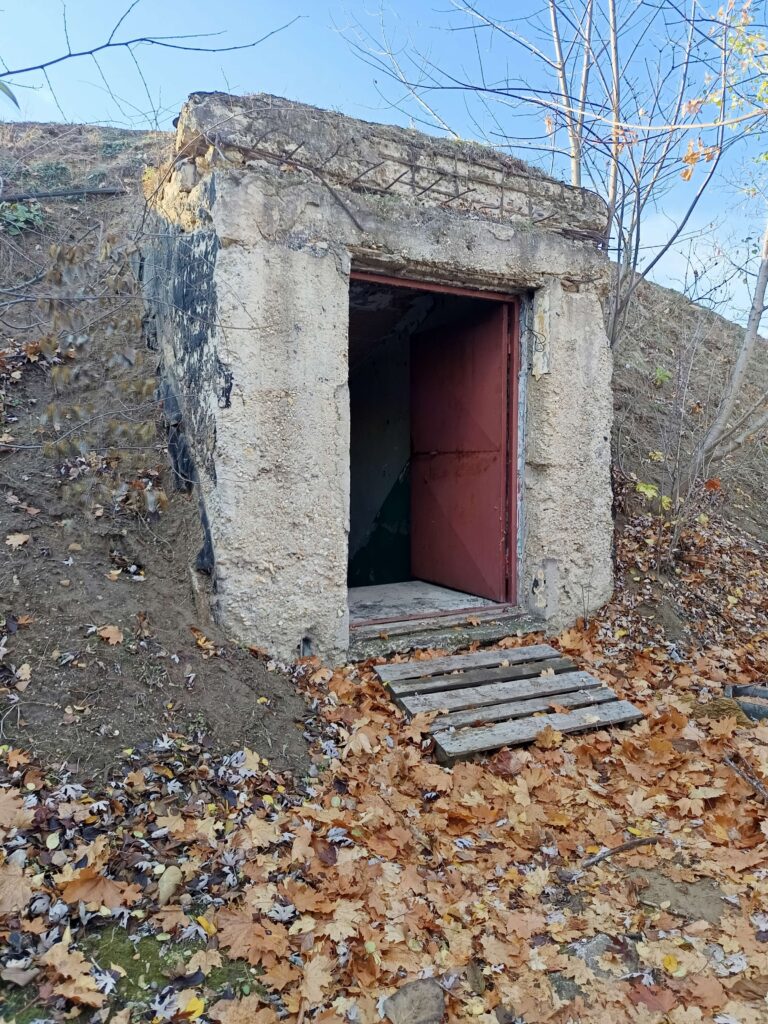 IMG 20251109 135157