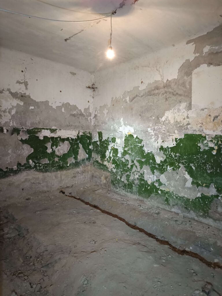 IMG 20251109 135407
