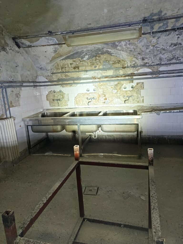 IMG 20260122 093721