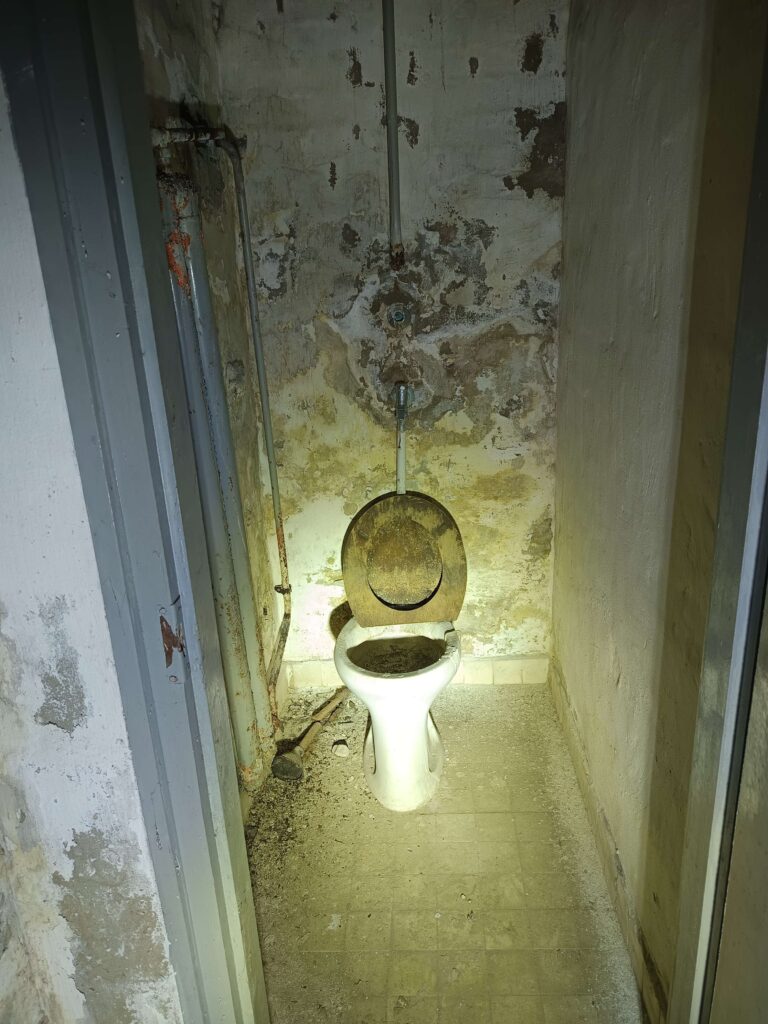 IMG 20260122 093948