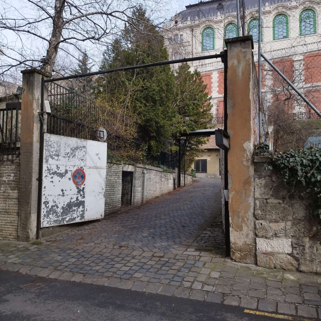 IMG 20240224 105543