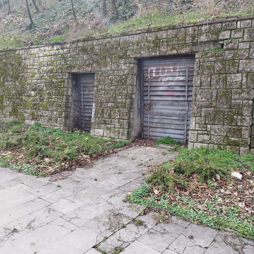 IMG 20240224 121932