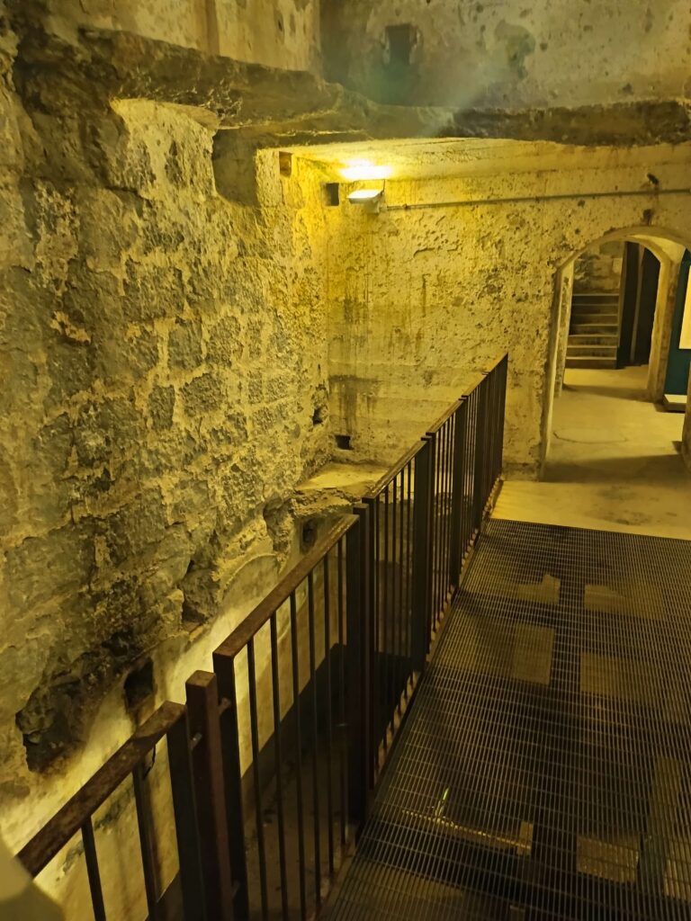 IMG 20260802 122953