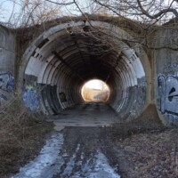 2125201531