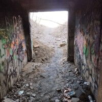 3080558186