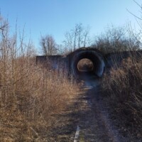 27964262