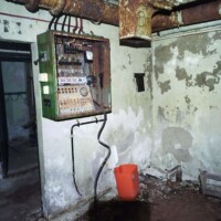 4121927529