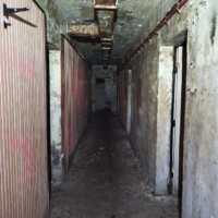 2314726383