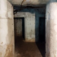 682531310