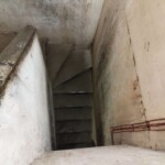 2556750183