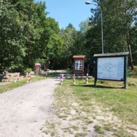 2295259464