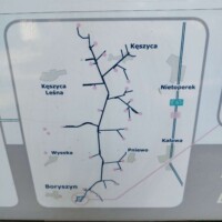 3794600805