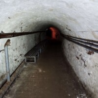 1545380910