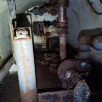2589620454