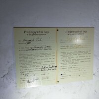 3137277619