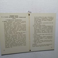 3894886663