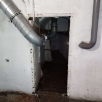 3950374954