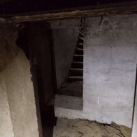 3365906479