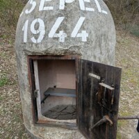 3667697865