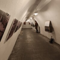2220149520