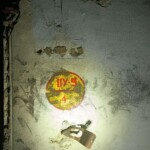 2196240987