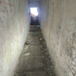 3914844356