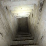 1185566199