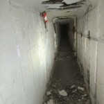145762154