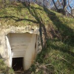 3725671945