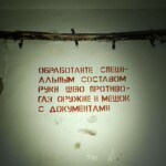 97043768