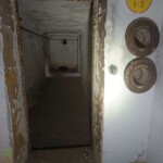 3175561075