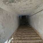 2221162184