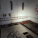 2715981967