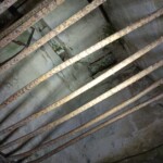 395245981