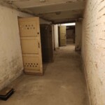 826615787
