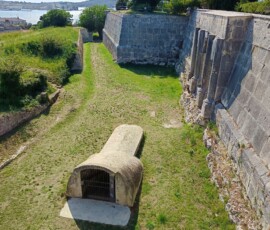1682882018