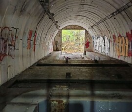 32867471