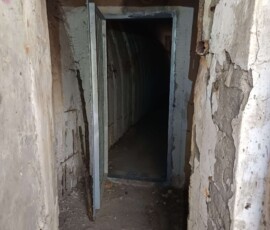 4262071171