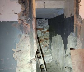 3919895570