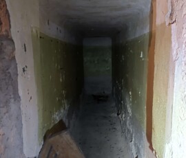 3257939478