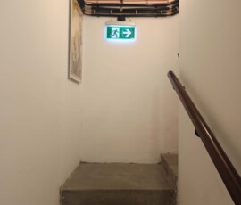 251025953