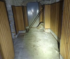 3336708743
