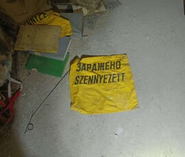 1261554296