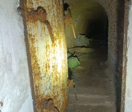 3090056663