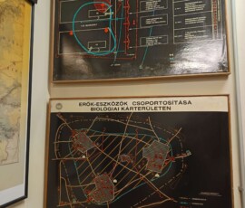 3768741371